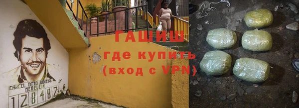 индика Богданович