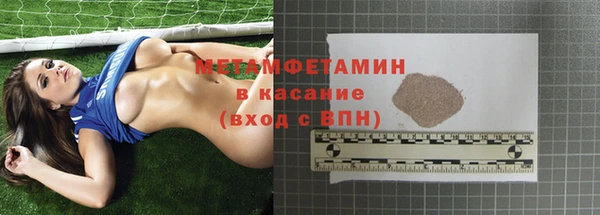 индика Богданович