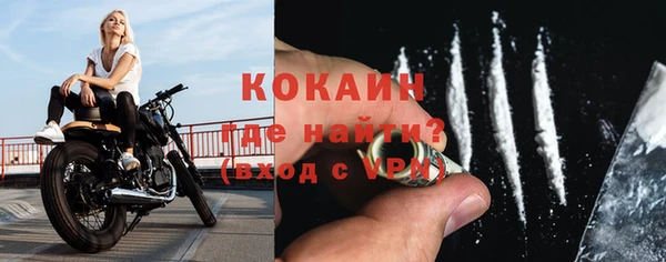 индика Богданович