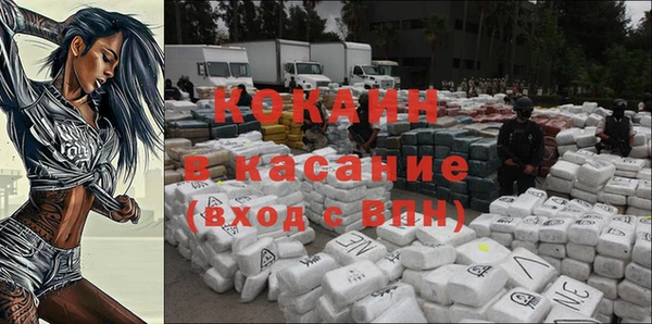 индика Богданович