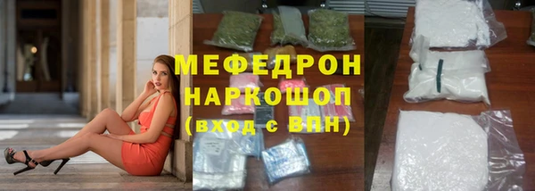 индика Богданович
