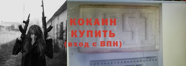 индика Богданович
