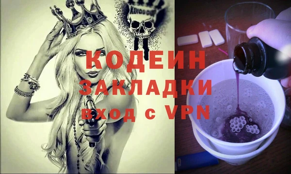 индика Богданович