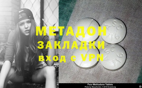 индика Богданович