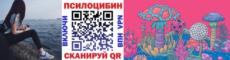 закладка  Павловск  Галлюциногенные грибы прущие грибы 